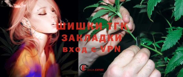 индика Балабаново