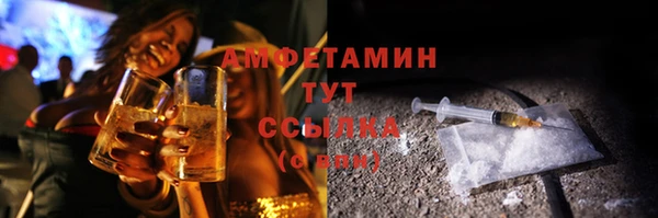 индика Балабаново