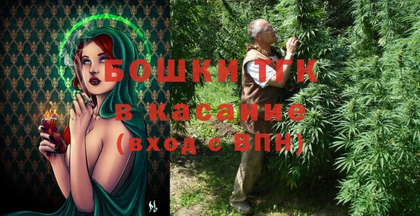 стаф Нея