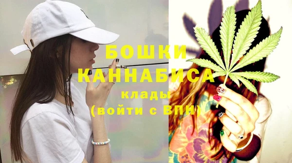 индика Балабаново