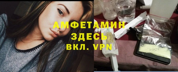 индика Балабаново